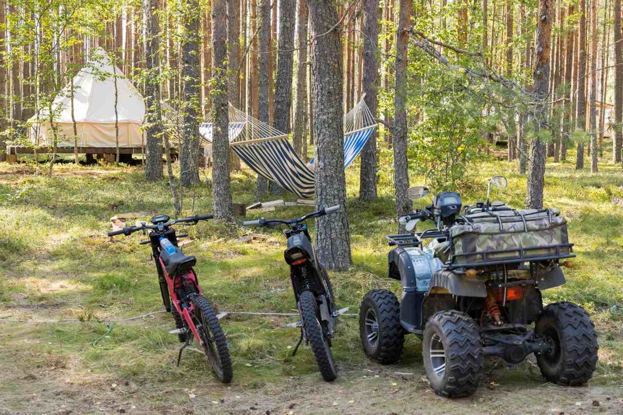 База отдыха Большая рыба Гдов-18